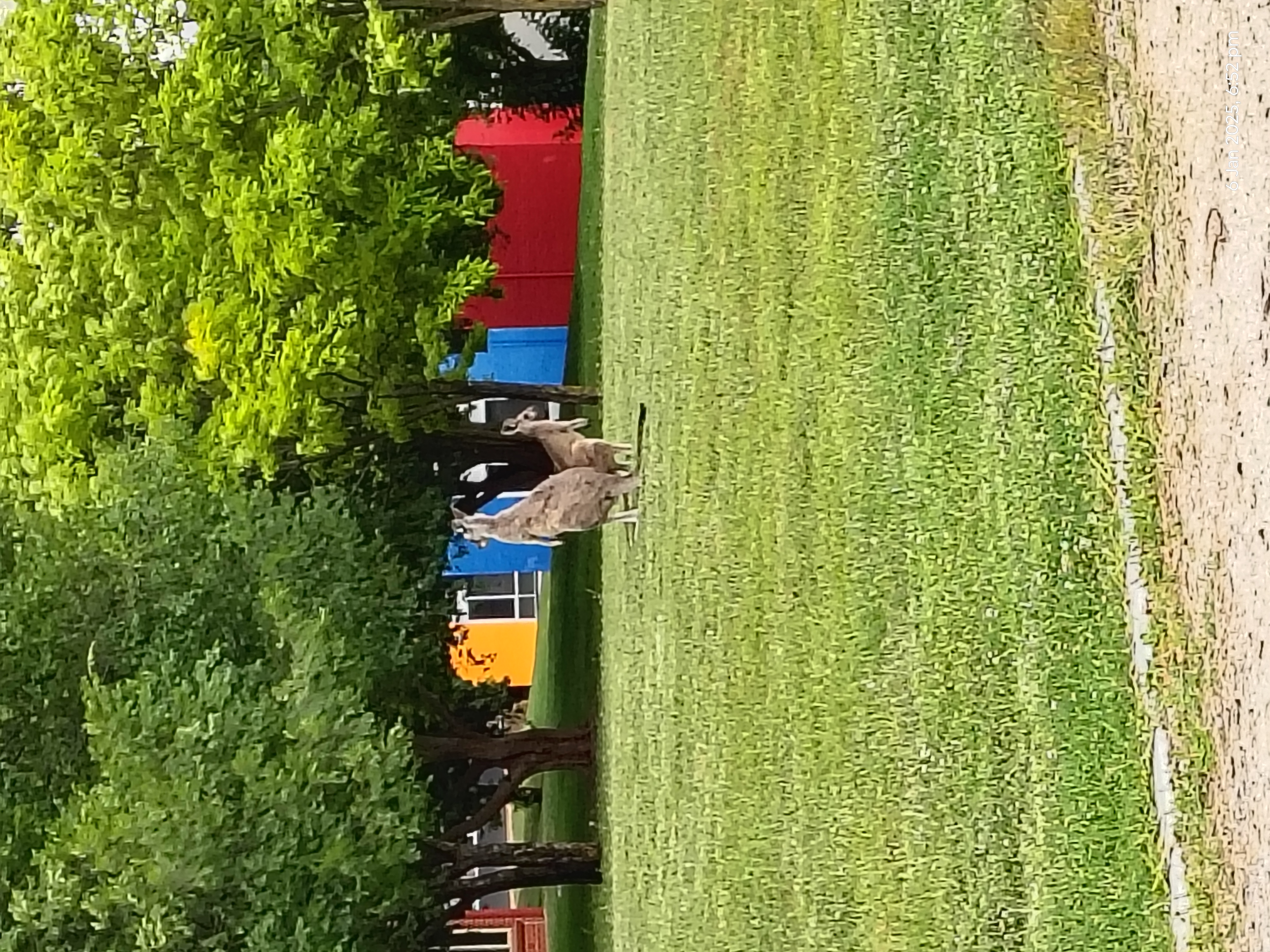 2025 photo 2