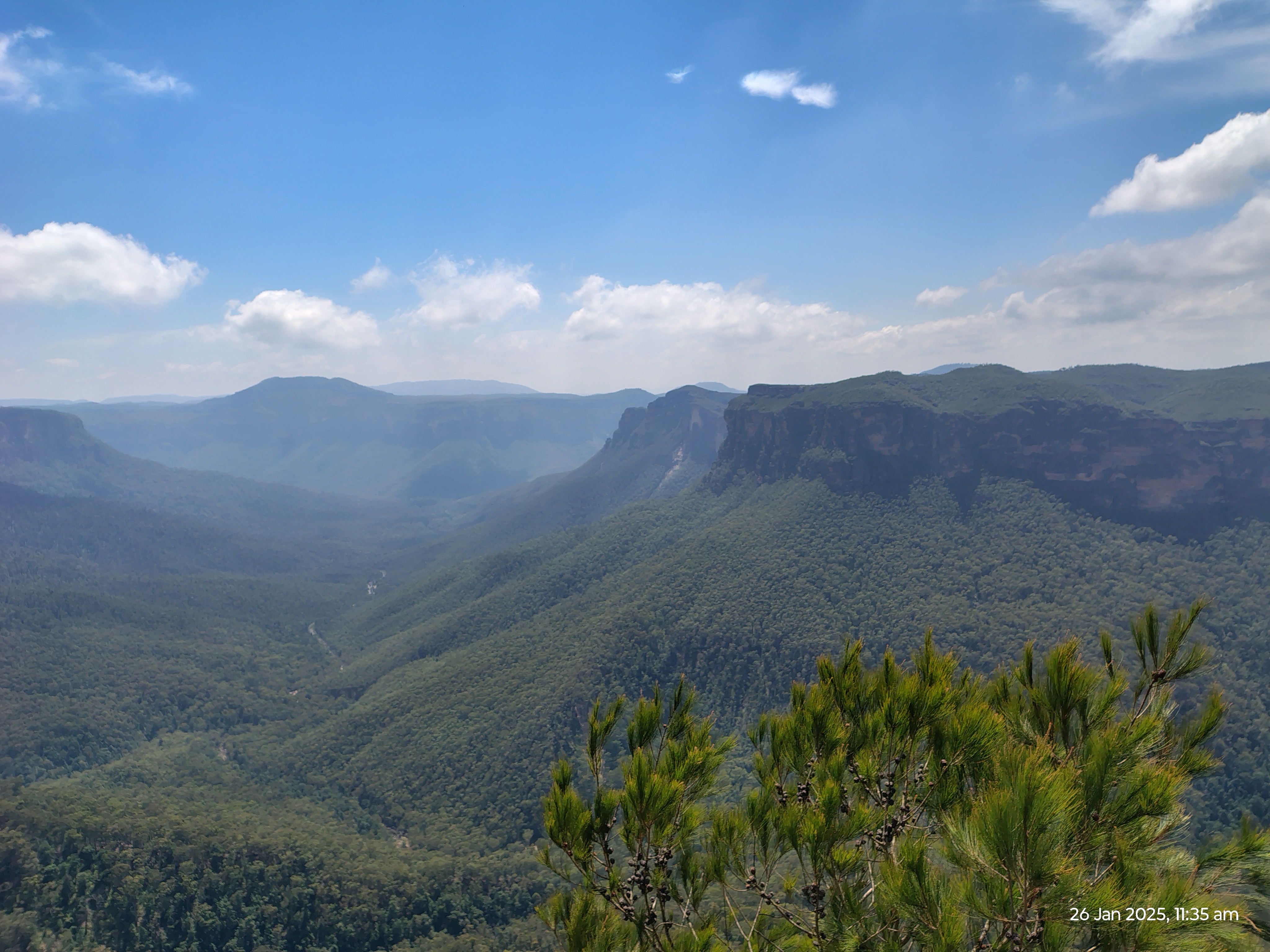 2025 photo 2