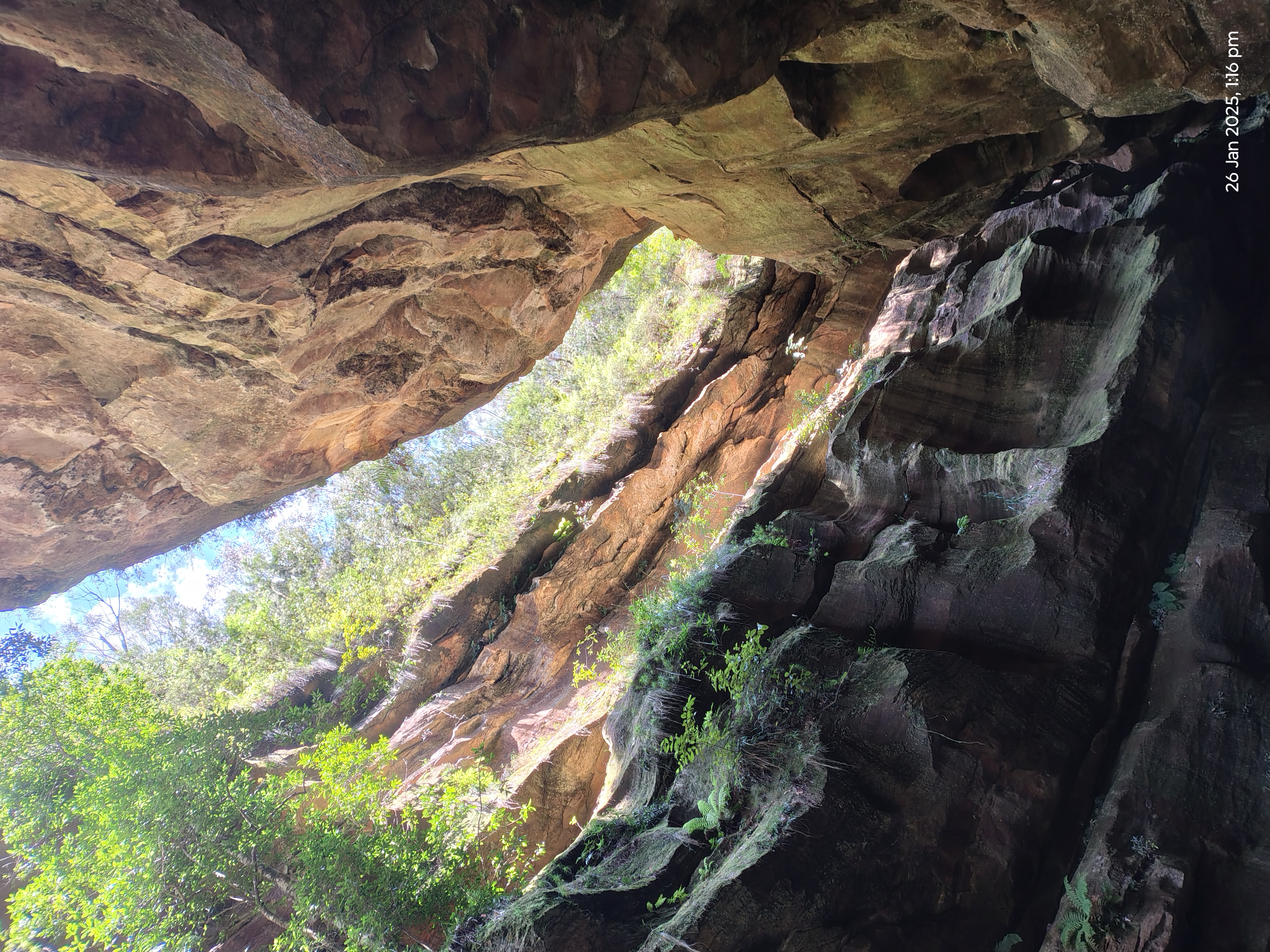 2025 photo 2
