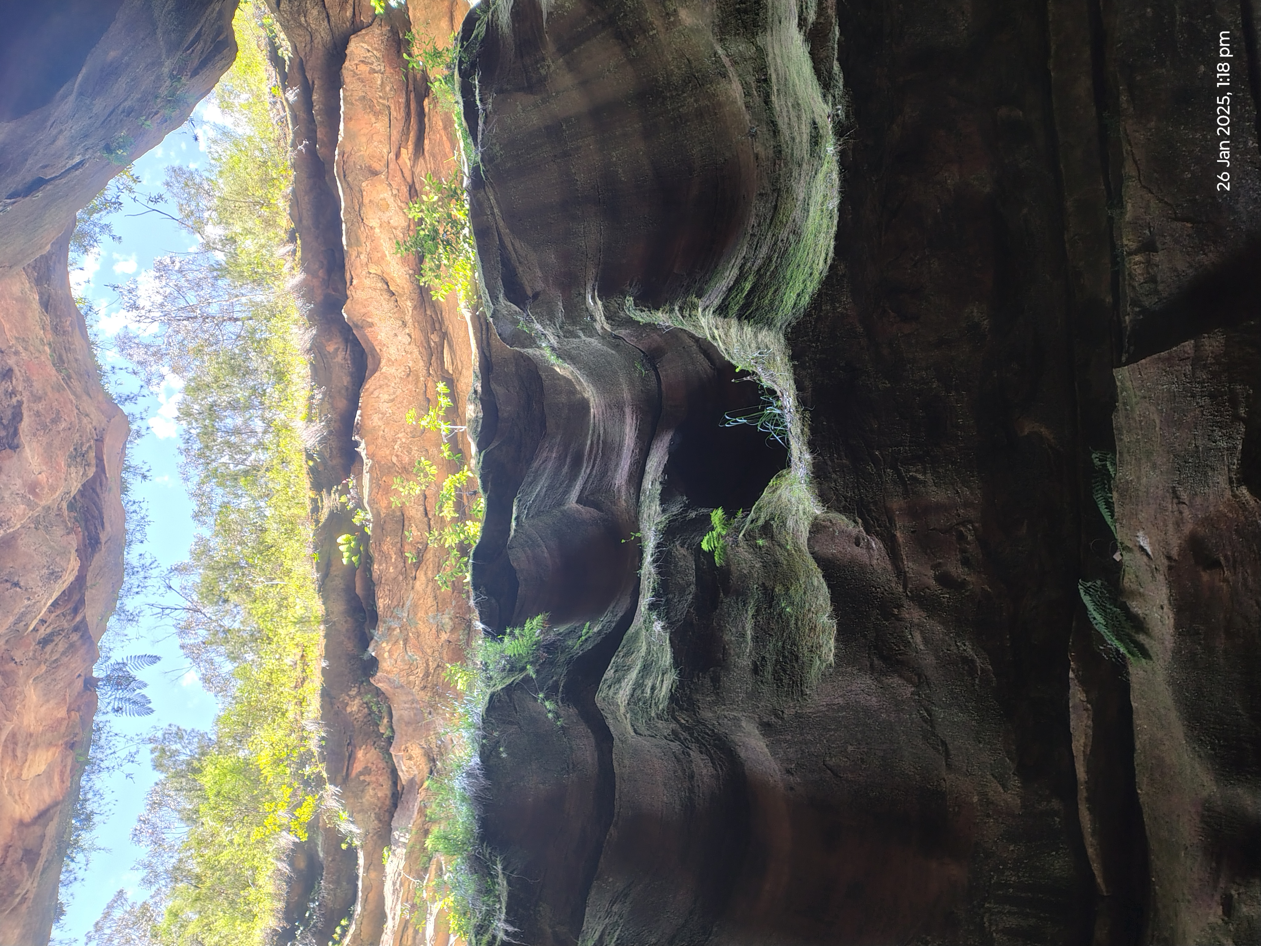 2025 photo 2